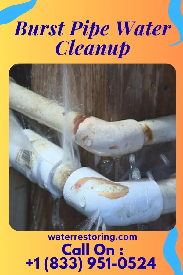 Burst Pipe Water Cleanup in South Renovo, PA