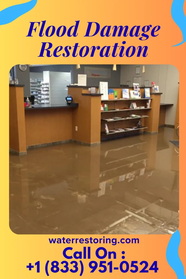 Flood Damage Restoration in South Renovo, PA