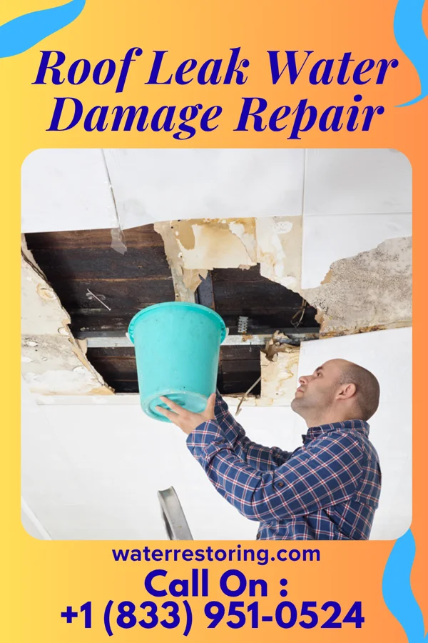 Roof Leak Water Damage Repair in South Renovo, PA
